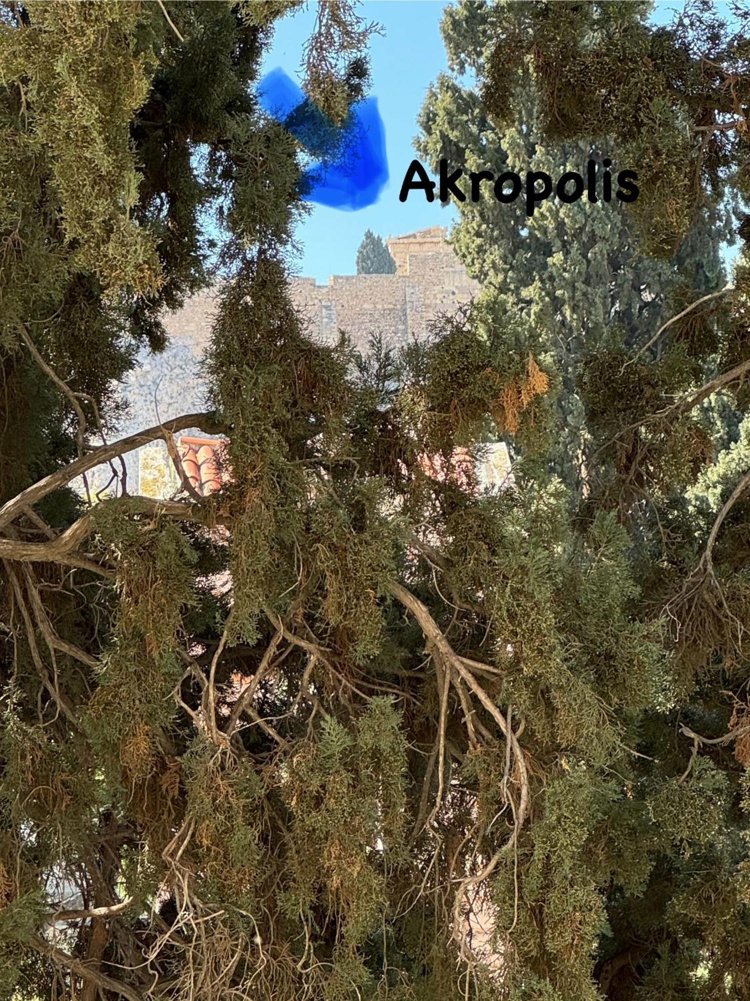 Plaka K15 Apartment Atena Exterior foto
